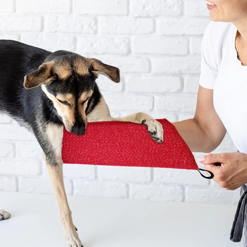 Rękawy treningowe dla psów Szc – Interactive Squeaky Plush Dog Toy recenzja i cena