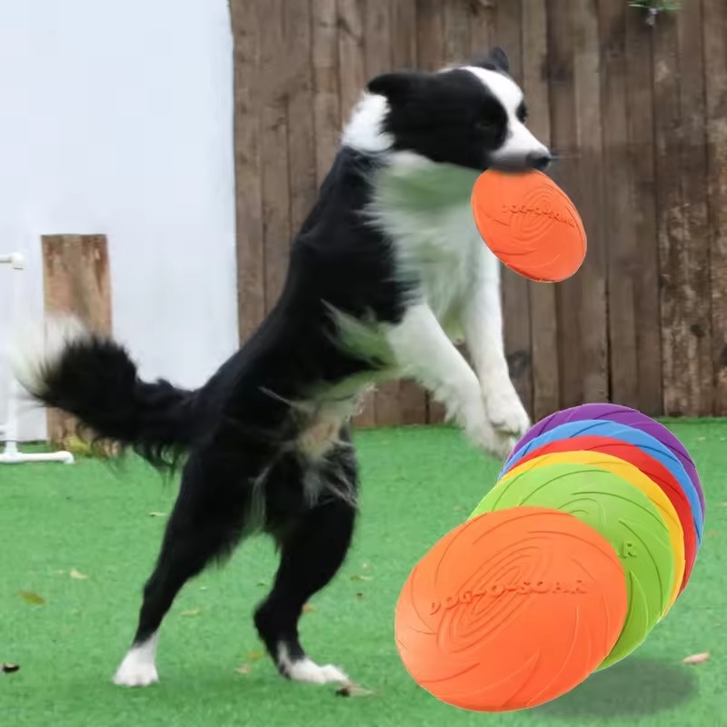 Interaktywna silikonowa latają – Flying Disc Dog Training Toy recenzja i cena